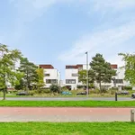 Rent 6 bedroom house of 197 m² in Rotterdam