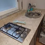 Rent 1 bedroom apartment of 40 m² in Palermo