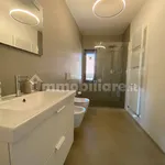 2-room flat Lungarno Trento e Trieste 21, Limite, Capraia e Limite