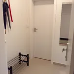 Pronajměte si 1 ložnic/e byt o rozloze 35 m² v Prague