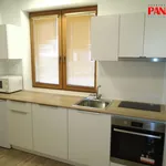 Rent 1 bedroom apartment of 42 m² in Zlín