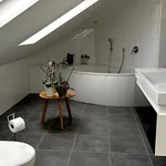 Rent 3 bedroom apartment in Bern