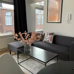 Huur 1 slaapkamer appartement van 25 m² in Den Haag