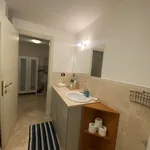 Pronajměte si 1 ložnic/e byt o rozloze 35 m² v Prague