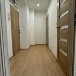 Rent 2 bedroom apartment of 36 m² in Havířov