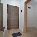 Rent 2 bedroom apartment of 53 m² in Timisoara