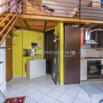 Rent 1 bedroom apartment of 41 m² in Torino