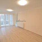 Rent 1 bedroom apartment of 60 m² in Debrecen