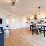 Rent 2 bedroom apartment of 63 m² in berlin