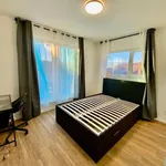 Rent 1 bedroom apartment in Seraing