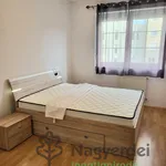 Rent 2 bedroom apartment of 75 m² in Debrecen