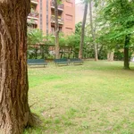 Rent 2 bedroom apartment of 60 m² in Milano