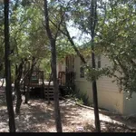 Rent 3 bedroom house in Canyon Lake