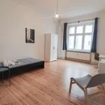 Rent a room in berlin