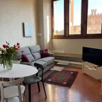 Rent 1 bedroom apartment of 50 m² in Siena