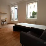 Rent 1 bedroom apartment of 35 m² in Brno