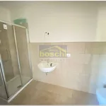 Rent 1 bedroom apartment of 36 m² in Bologna