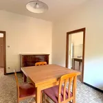 Rent 3 bedroom apartment of 75 m² in Bologna