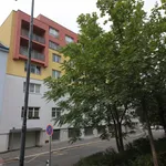 Pronajměte si 1 ložnic/e byt o rozloze 30 m² v Prague