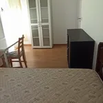 Rent 2 bedroom apartment in Caldas da Rainha