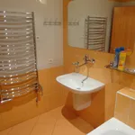 Rent 2 bedroom apartment of 65 m² in  ulice Hybešova