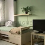 Rent 1 bedroom apartment of 45 m² in Brno