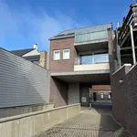 Flat to rent : Nieuwstadpoort 7 0002, 3960 Bree on Realo