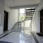 Rent 1 bedroom apartment of 20 m² in Nysa