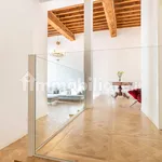 Rent 3 bedroom apartment of 110 m² in Lucca