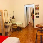 Rent 1 bedroom apartment of 30 m² in Roma