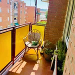 Rent 3 bedroom apartment in Madrid