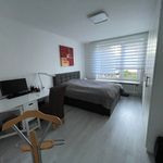 Miete 3 Schlafzimmer wohnung von 73 m² in Kassel