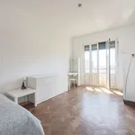 Rent a room in lisbon