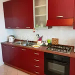 Rent 3 bedroom apartment of 65 m² in Santo Stefano di Camastra