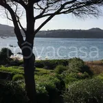 Rent 3 bedroom apartment of 90 m² in Golfo Aranci