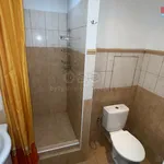 Rent 1 bedroom apartment in Děčín