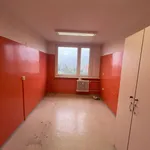 Pronajměte si 2 ložnic/e byt o rozloze 42 m² v Prague