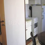 Rent 2 bedroom apartment of 49 m² in Torino