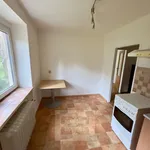 Rent 1 bedroom apartment in Kladno