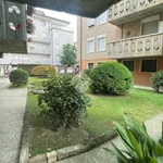 Rent 4 bedroom apartment in Padova