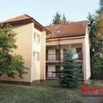 Rent 1 bedroom apartment of 28 m² in Brno