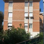 Rent 5 bedroom apartment of 100 m² in Perugia