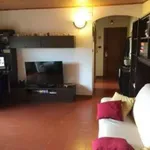 Rent 2 bedroom apartment of 80 m² in Pescara