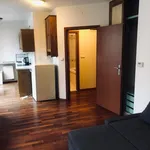 Pronajměte si 1 ložnic/e byt o rozloze 27 m² v Prague