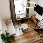 Rent 1 bedroom apartment of 30 m² in Brno