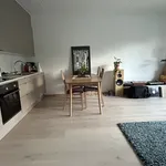 Rent 2 bedroom apartment of 57 m² in Oslo