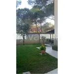 Rent 2 bedroom apartment of 65 m² in Pescara