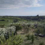 Rent 3 bedroom house of 70 m² in Crecchio