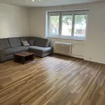 Pronajměte si 3 ložnic/e byt o rozloze 71 m² v Pilsen