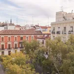 Rent 2 bedroom apartment in madrid